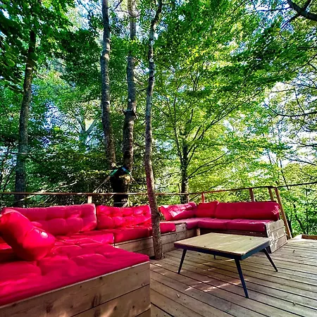 D'hotes La Grange Des Ecrins 3* Chabottes